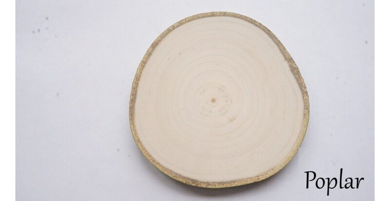 Cut to order 10 poplar wood slices, tree slice blanks, tree slabs, wood cookies, log discs